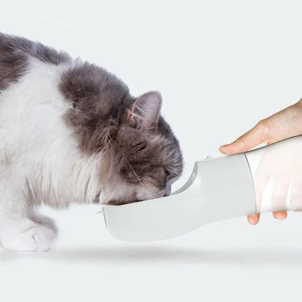 Cat drinking from portable pet water bottle on white background