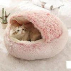Fluffy cat in a pink covered pet bed on a soft white rug, cozy indoor setting