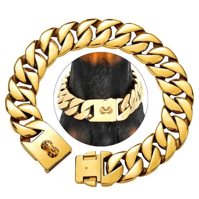 Wide gold metal dog chain collar with secure clasp on a dog's neck, stylish pet accessory