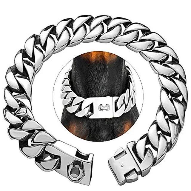 Stainless steel wide metal dog collar on a dog's neck, strong Cuban link design
