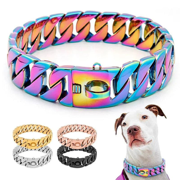 Rainbow stainless steel wide dog chain collar with strong clasp, shown on a white dog and in gold, silver, rose gold, and black color options.