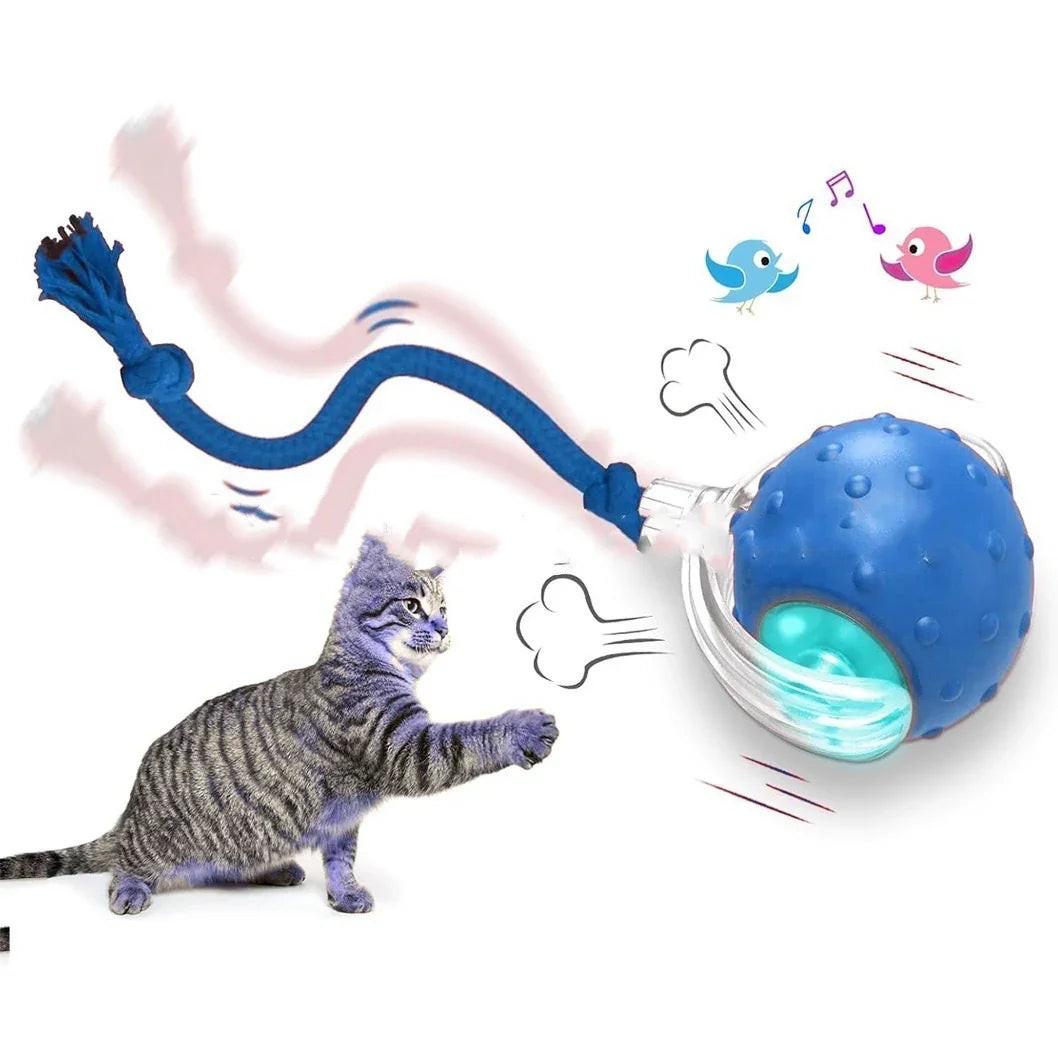Tabby cat playing with interactive blue ball toy with rope, cartoon birds, and motion effects.