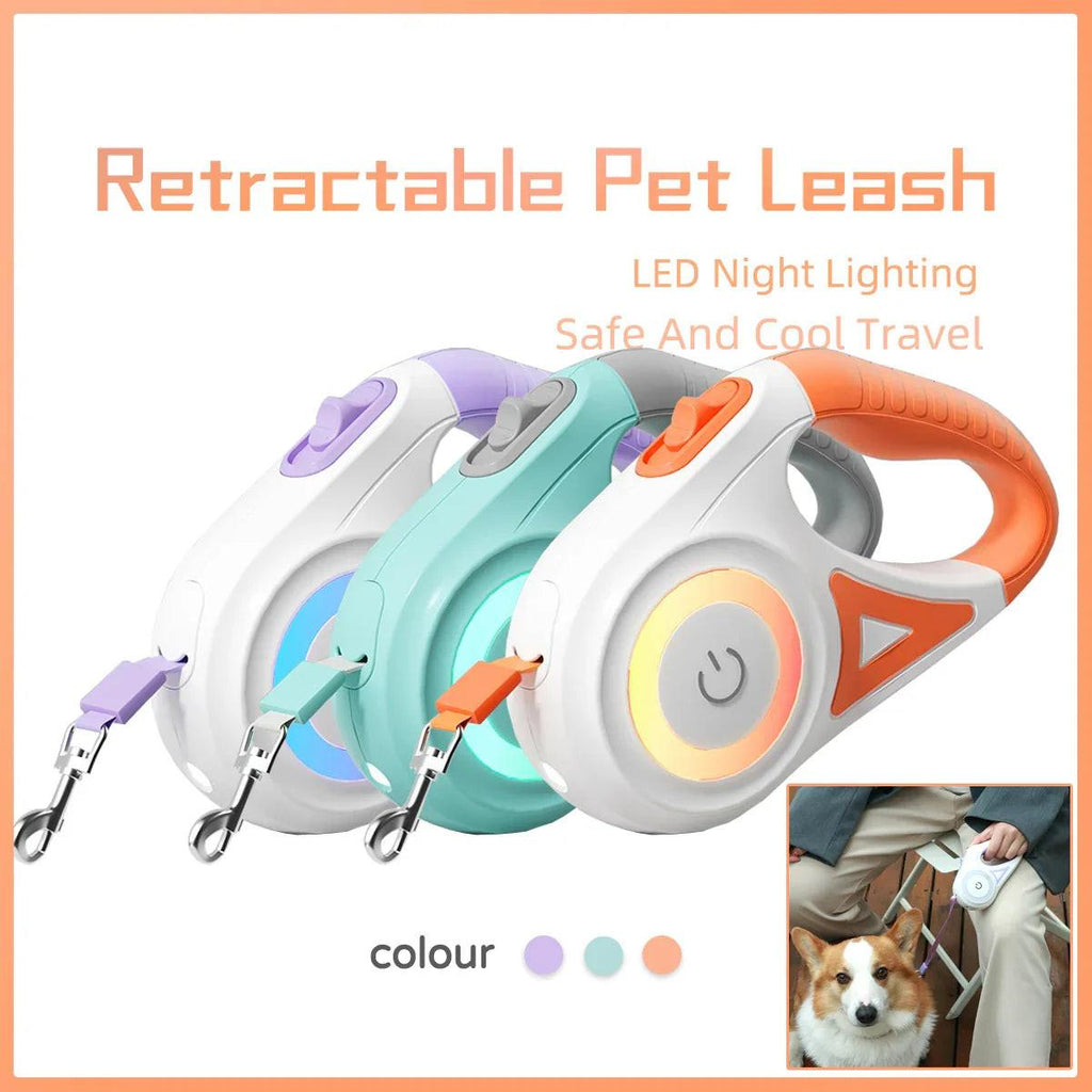 Retractable pet leash with LED night light, shown in three colors, for dog walking safety.
