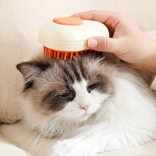 Hand brushing fluffy cat with orange and cream pet grooming brush on sofa