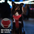 Dog wearing a reflective red safety harness at night, with text 'BEVISIBLE, BE SAFE'.