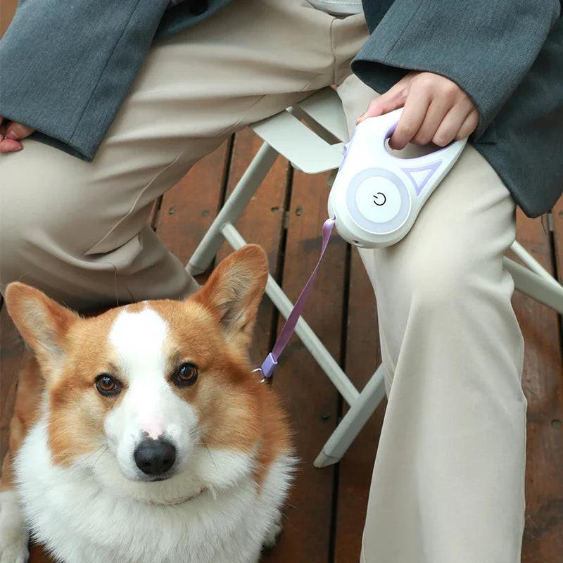 Person holding retractable dog leash with a corgi sitting on wooden floor