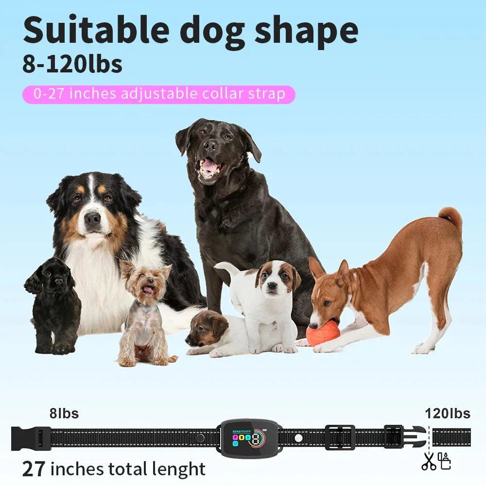 Various dog breeds with adjustable dog collar, suitable for 8-120 lbs, on blue background.