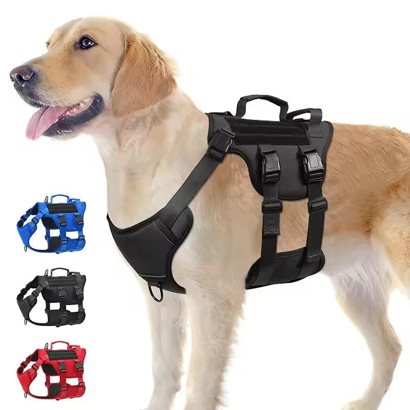Large dog wearing adjustable no-pull harness with handle, shown in black, blue, and red colors