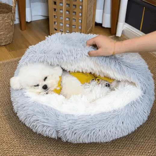 Small white dog sleeping in a cozy gray fluffy pet bed with a liftable cover