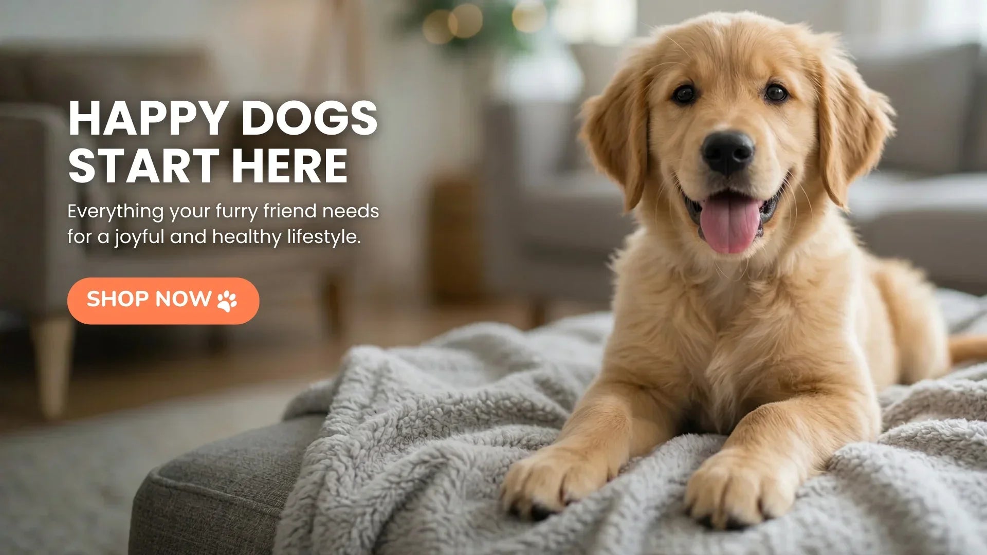 Happy golden retriever puppy on cozy blanket in living room, dog essentials promotion banner