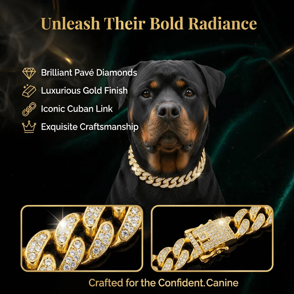 Rottweiler dog wearing a luxurious gold Cuban link collar with pavé diamonds, on dark background.