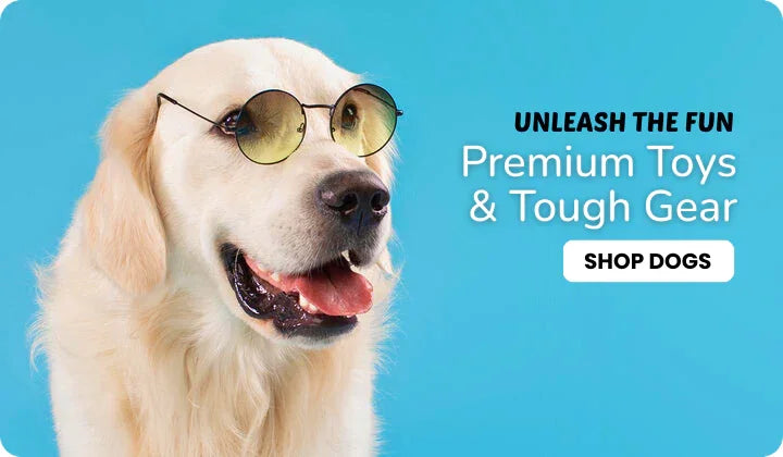 Golden retriever wearing sunglasses with 'Premium Toys & Tough Gear' text on blue background
