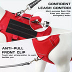 Red no-pull dog harness with back and front leash clips demonstrated on a dog mannequin