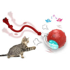 Tabby cat playing with interactive red ball cat toy featuring a glowing light and feather tail